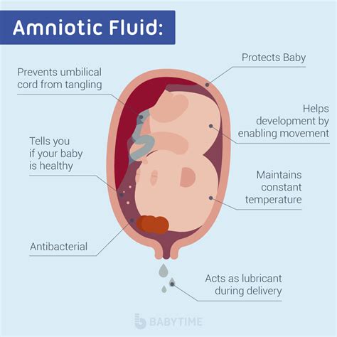 how do you know if your leaking amniotic fluid|Leaking Amniotic Fluid: How to Tell